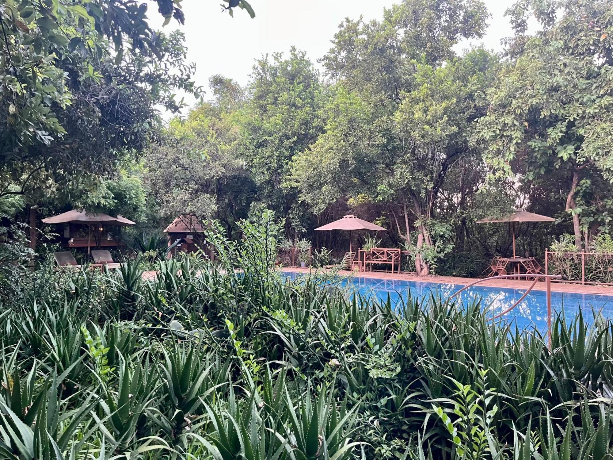Ikweta Safari Camp Ξενοδοχείο Maua Εξωτερικό φωτογραφία