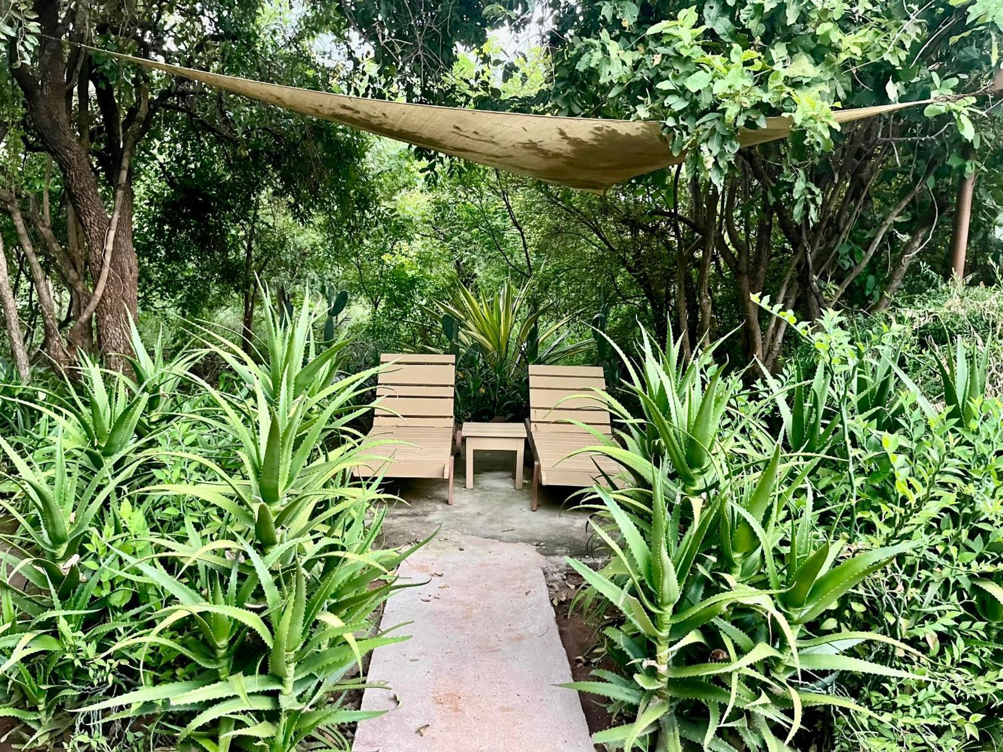 Ikweta Safari Camp Ξενοδοχείο Maua Εξωτερικό φωτογραφία