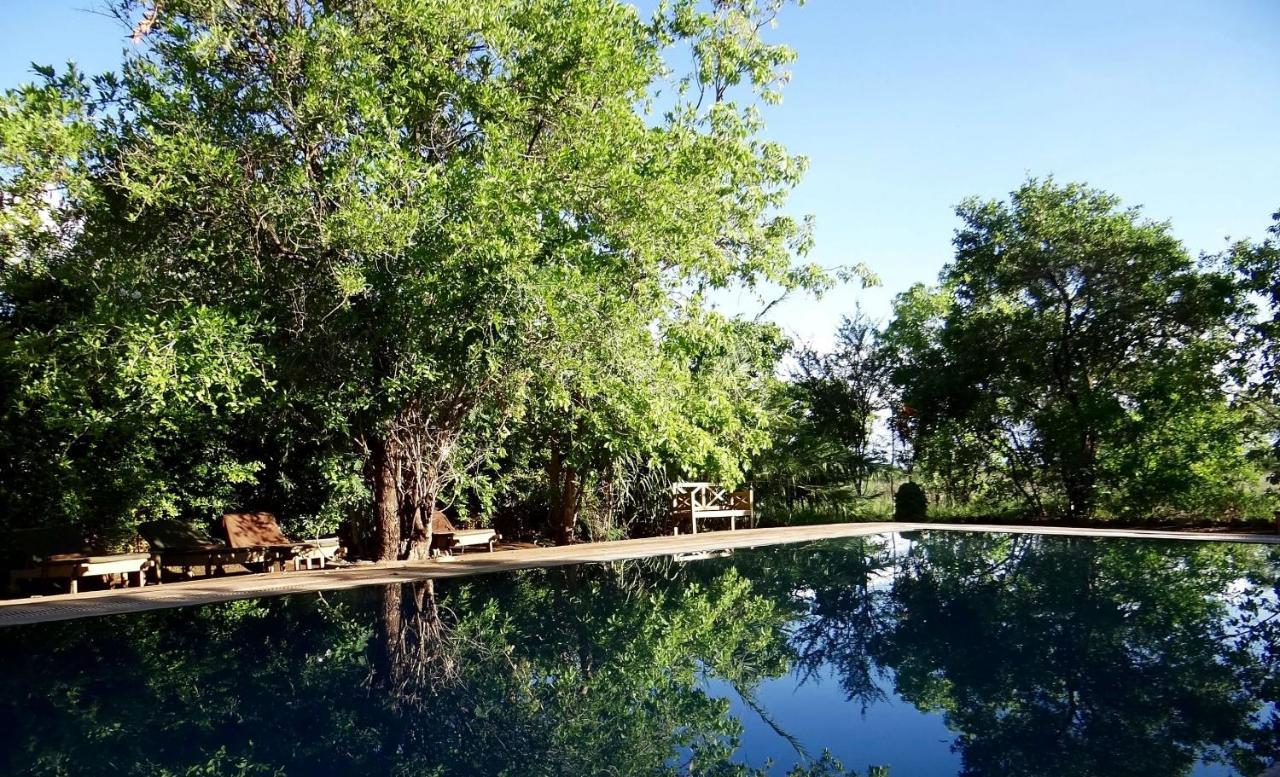 Ikweta Safari Camp Ξενοδοχείο Maua Εξωτερικό φωτογραφία